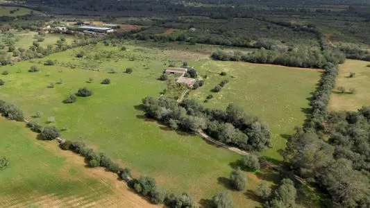House with land - Porreres (Outskirts) — photo 3