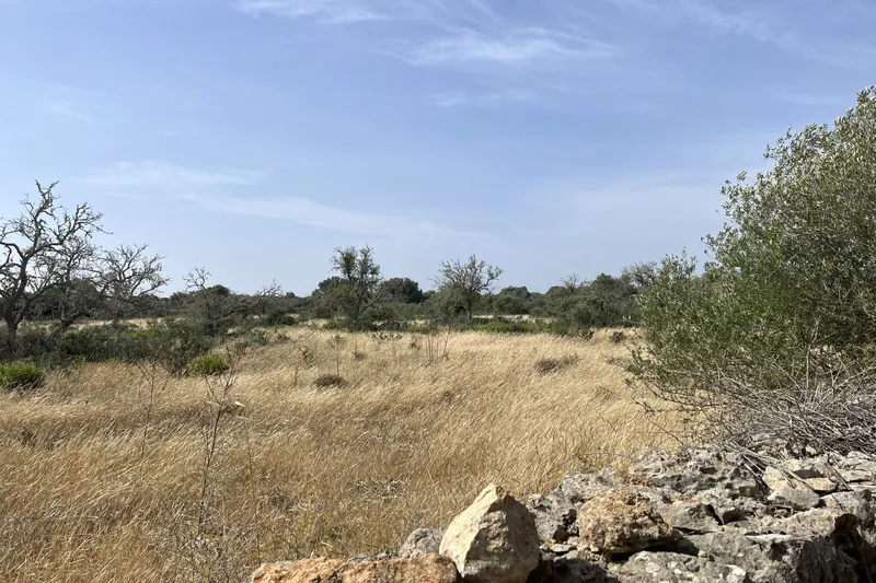 Large building plot near Ses Salines with approved finca project — photo 1