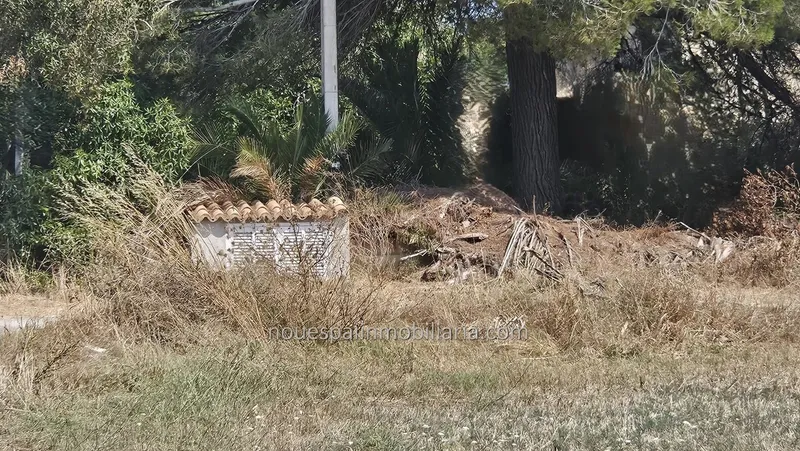 Rustic estate in Muro — photo 4
