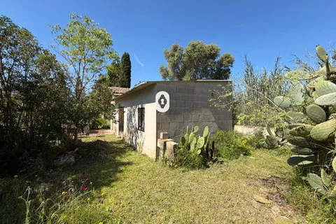 Country house in Binissalem, Mallorca — photo 6