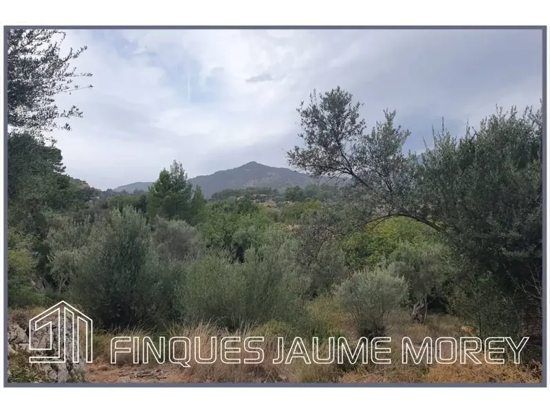 Discover your perfect refuge in nature! This charming rustic mountain property, located at the foot of the majestic Tramuntana mountain range — photo 7