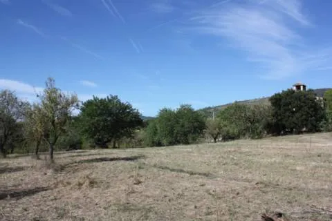 Plot — photo 4
