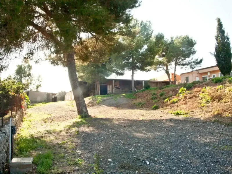 Finca de 17300m2 de terreno con diversas edificaciones, casa principal de unos 180m2 mas terrazas y 800m2 en varias naves. — photo 7