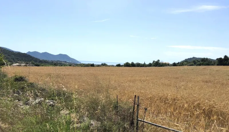 Plot near Son Servera with sea views UP009 — photo 3