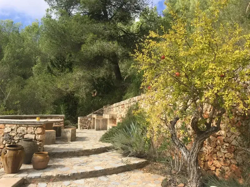 Sumérgete en el encanto del Mediterráneo en esta preciosa finca rural situada en Mallorca, en una ladera que regala vistas panorámicas a las — photo 10