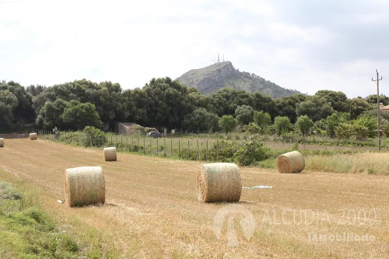 Land — photo 1