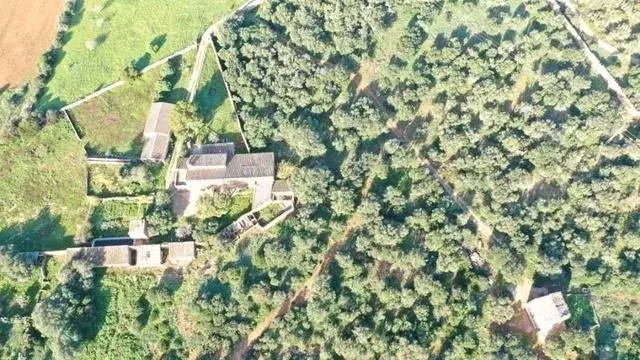 Large Mallorcan estate in Campos - 150,000 m² just 2 km from Es Trenc — photo 1