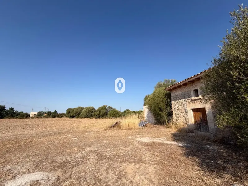 Inmoclaus presents this rustic finca located on the outskirts of Inca with quick access to the highway connecting Palma and Alcúdia. — photo 6