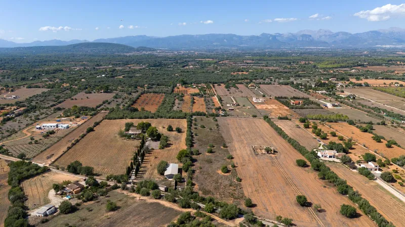 Rustic plot in Algaida — photo 7