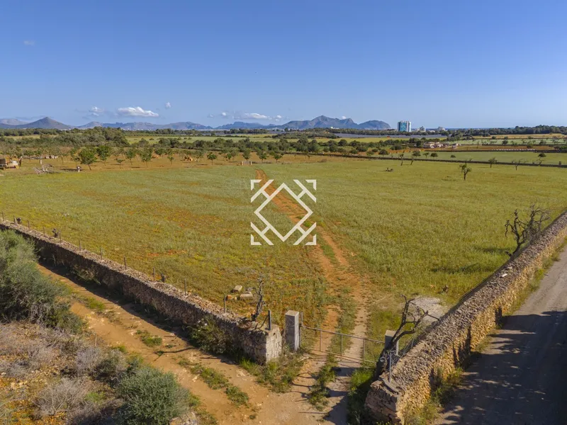 Finca for sale in Santa Margalida, Mallorca — photo 3