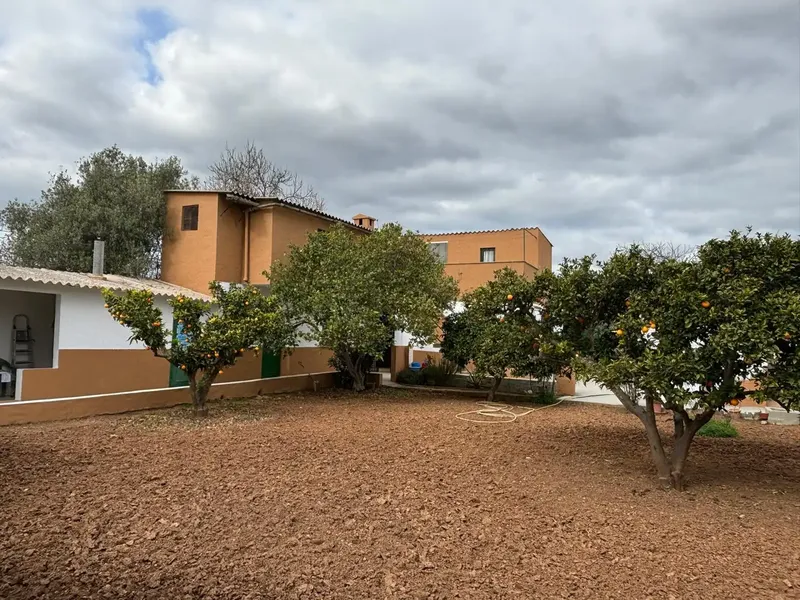 Investment opportunity in Cas Metge – Marratxí — photo 12