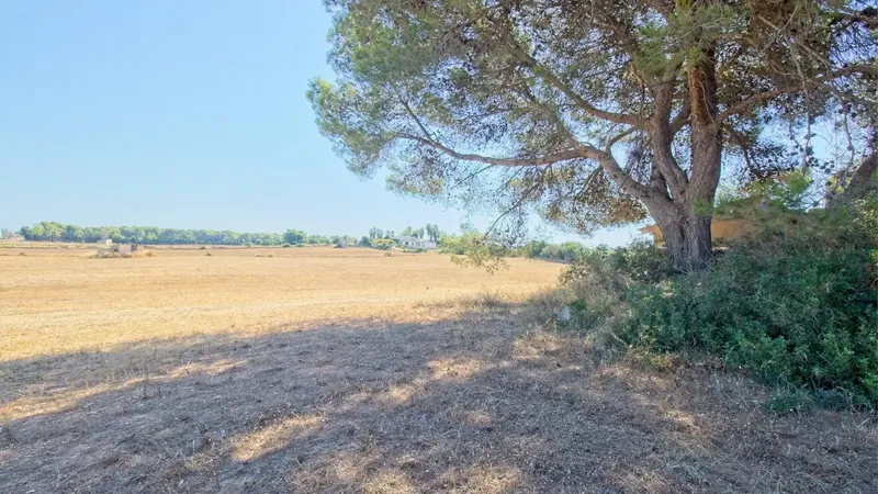 Finca of 22370 m2 with 213 m2 built, 88 m2 as dwelling and 125 m2 as agricultural, including a 35 m2 pool and garage — photo 7