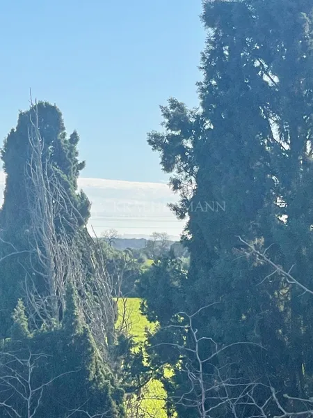 Country house between Campos and Sa Rapita to renovate — photo 9