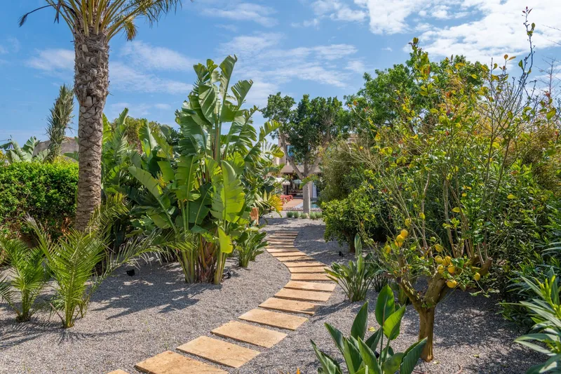Exclusive newly built townhouse in Es Llombards with Mediterranean garden — photo 4