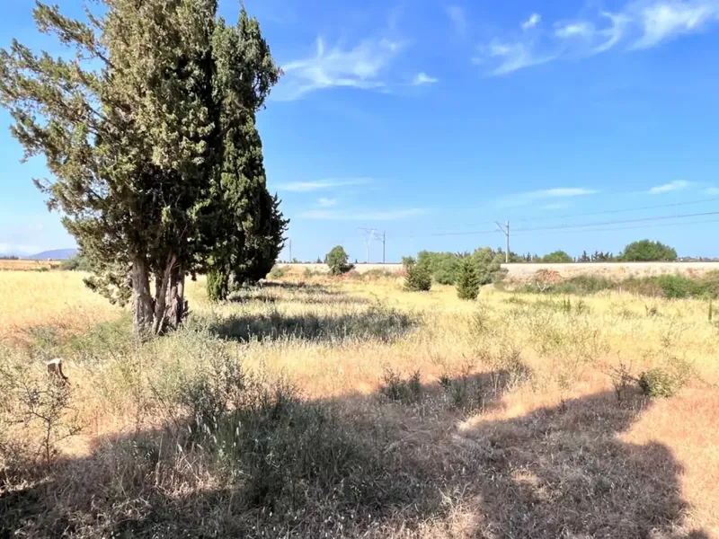 On the outskirts of Muro, next to the train station, we have this beautiful rustic estate with about 7,200 m2 of land and about 40 m2 — photo 10