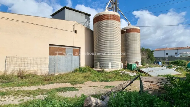 Urban plot in Ses Salines — photo 1