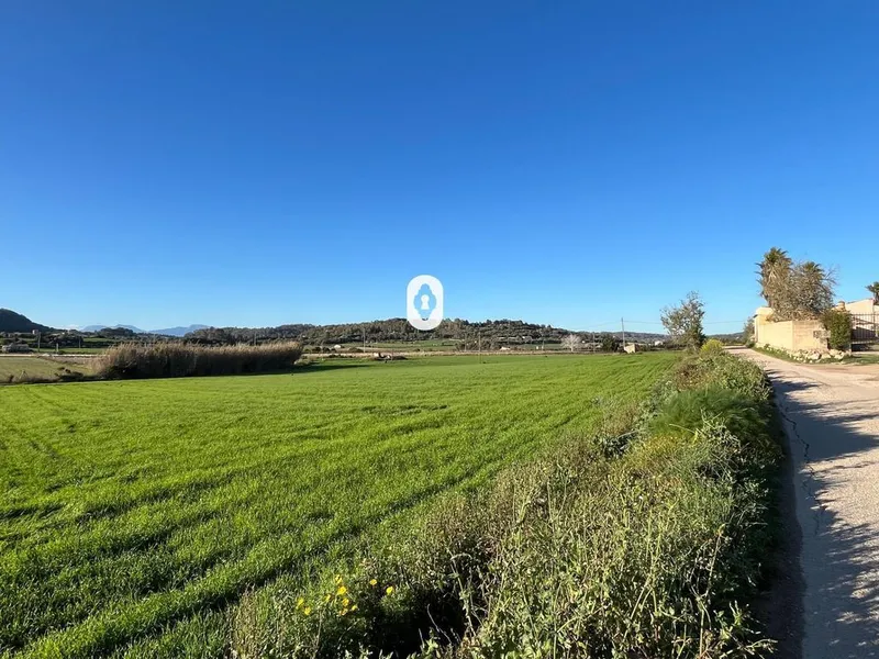 Land in Montuïri, Province of Balearic Islands — photo 1