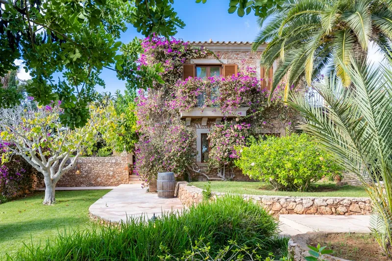 Historic estate with agroturismo license and vineyards near Porto Colom — photo 8