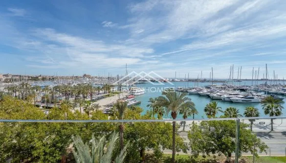 Penthouse in Palma — photo 1