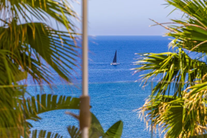 Cala Llamp: New-build villa with fantastic sea views — photo 3