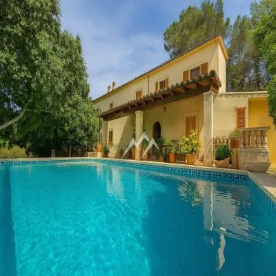 Finca with house and pool — photo 1
