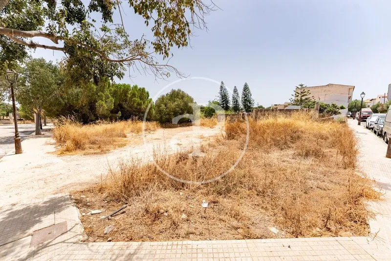 Land in Binissalem, Province of Balearic Islands — photo 2