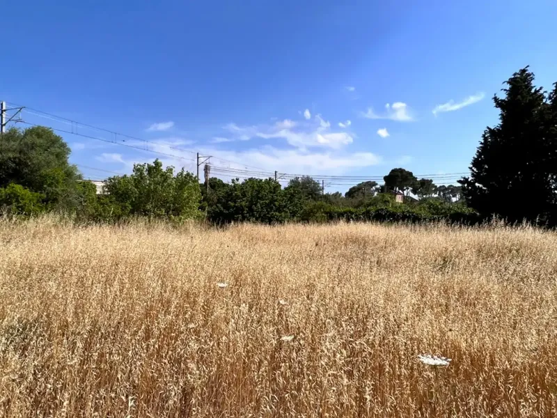 On the outskirts of Muro, next to the train station, we have this beautiful rustic estate with about 7,200 m2 of land and about 40 m2 — photo 12