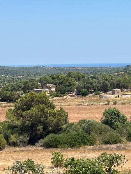 Beautiful building plot near Manacor — photo 2
