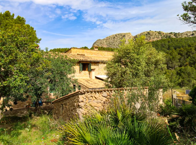 Ref.2463C – Charming Traditional Mallorcan Finca — photo 7