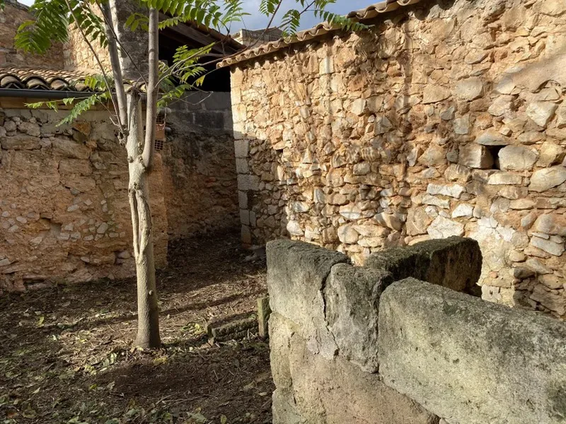 Villa in Binissalem, Mallorca — photo 5