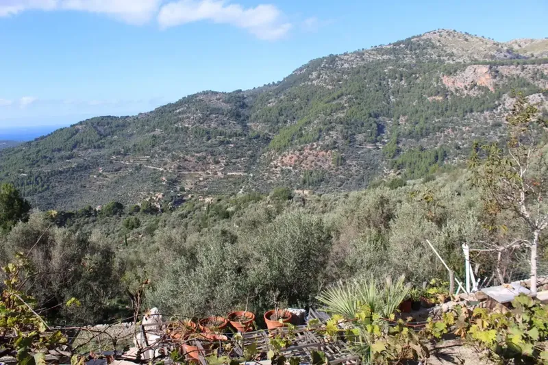 An old stone house with so much land sounds incredible! — photo 4