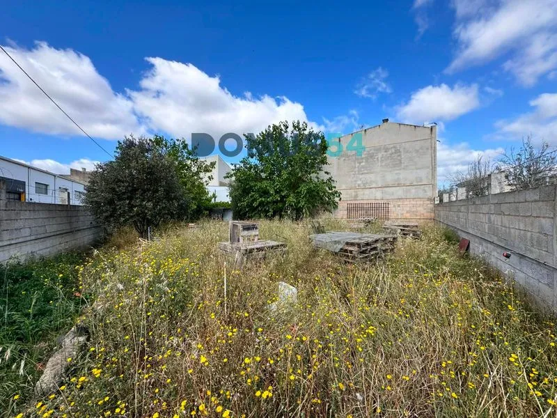 plot in Sa Pobla — photo 1