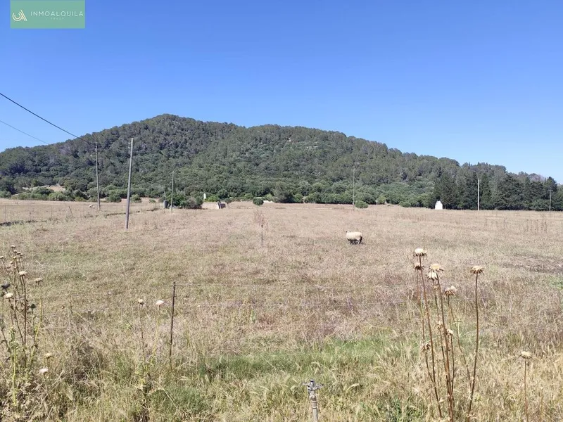 Land in sa Pobla, Province of Balearic Islands — photo 4