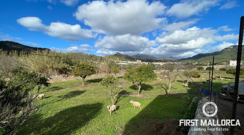 Country estate for renovation between the village and the port of Andratx — photo 11