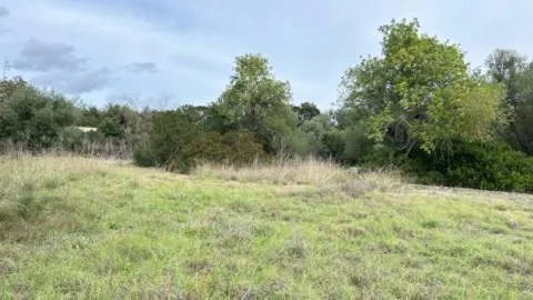 Plot — photo 12