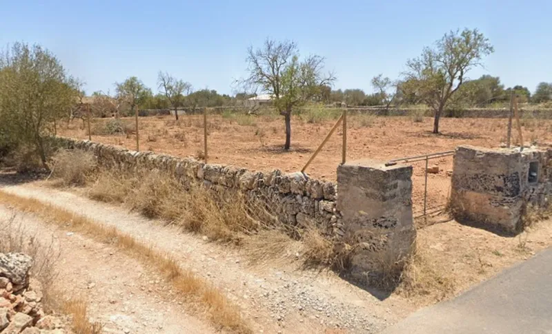 For rent: Plot of 5,000 m² with small house in Santanyí – Ideal for horses — photo 7