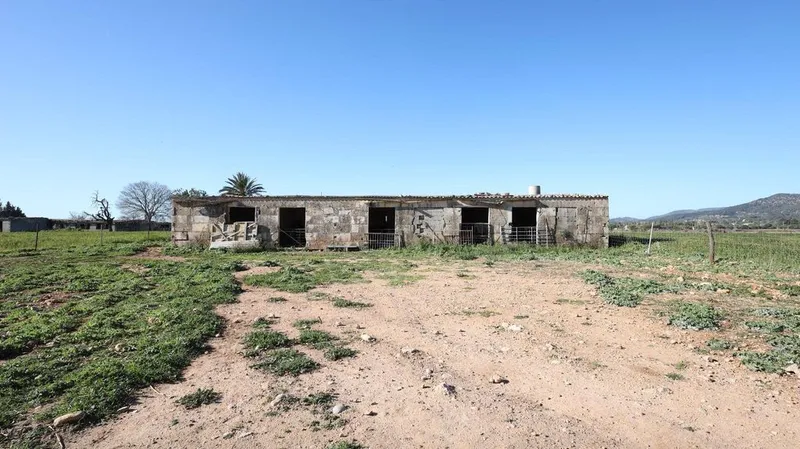Land in Binissalem, Province of Balearic Islands — photo 5