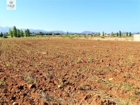 Rural Land - Llubí (Afueras de Llubí), Plot Surface 7500m², Distance to the Sea 14 Km. — photo 2