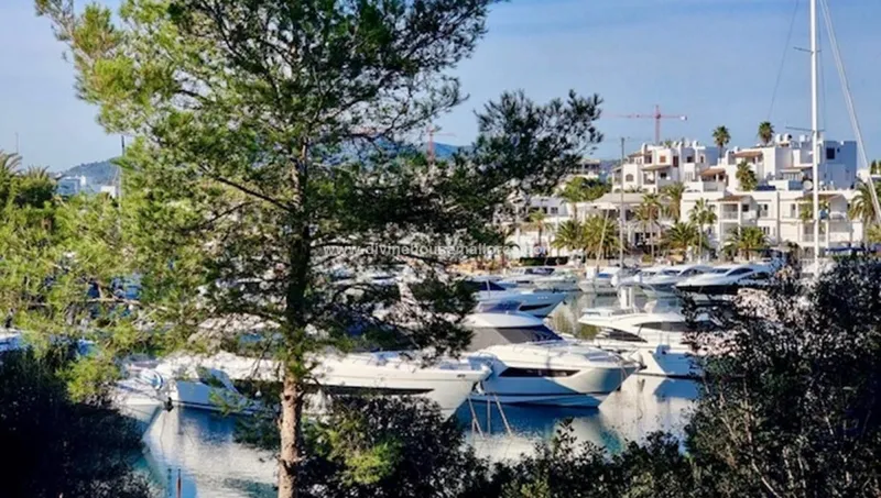Chalet on the front line of the Marina of Cala D'or with ETV — photo 4