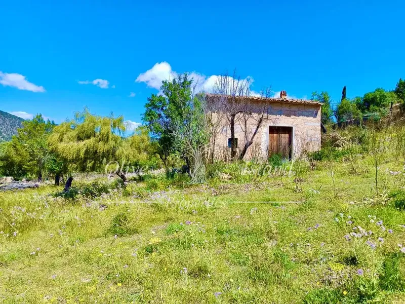 Land in Alaro, Mallorca — photo 1