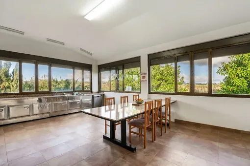 Manacor, charming finca with pool in a quiet location with panoramic views of nature in Son Mas — photo 3