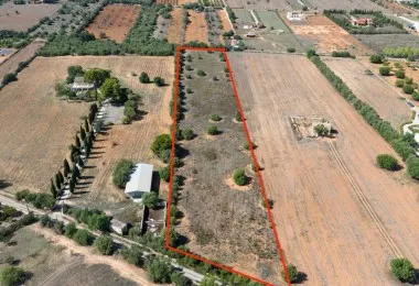 Rustic plot in Algaida — photo 1