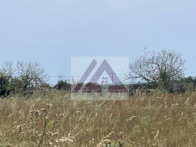 Rustic land for sale in Santanyi — photo 10