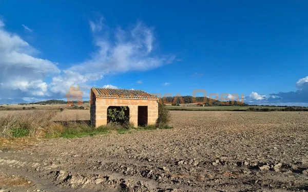 Buildable rustic plot for sale in Montuïri — photo 6