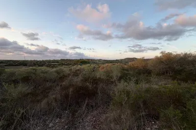 Land in Son Carrió — photo 1