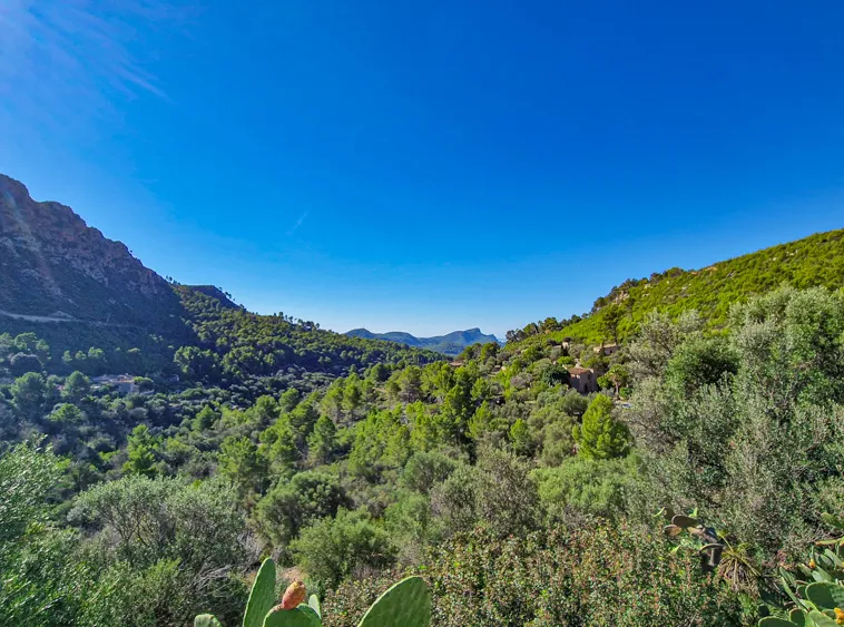 Ref.2262C – Andratx – Rustical Finca with spectacular views — photo 2