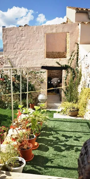 Characterful house in Campanet — photo 12