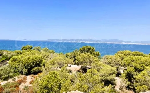 villa in Palma — photo 1