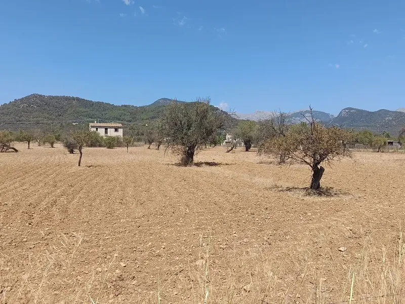 Rustic house in Binissalem — photo 10
