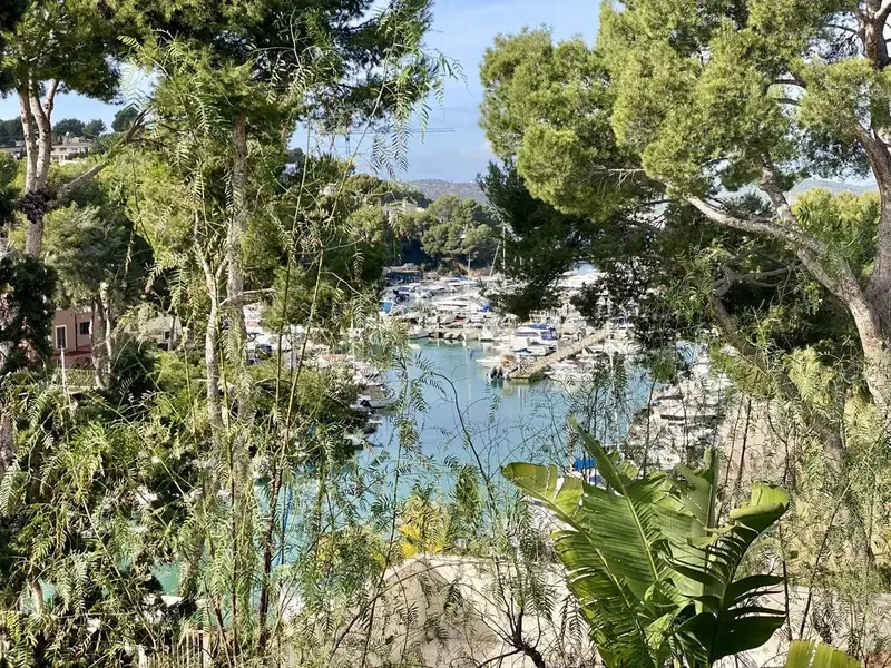 Live by the sea in Santa Ponsa! — photo 2